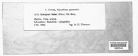 Uromyces viciae-fabae image